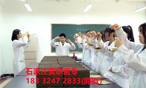 石家莊冀聯(lián)醫(yī)學(xué)院2024年護(hù)理專(zhuān)業(yè)學(xué)費(fèi)介紹