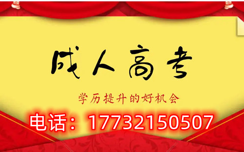 干貨！備考必讀，成考不踩雷！