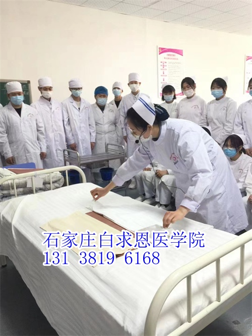 河北對(duì)口高考和對(duì)口單招有什么不同？